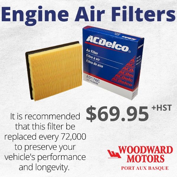 Engine Air Filter