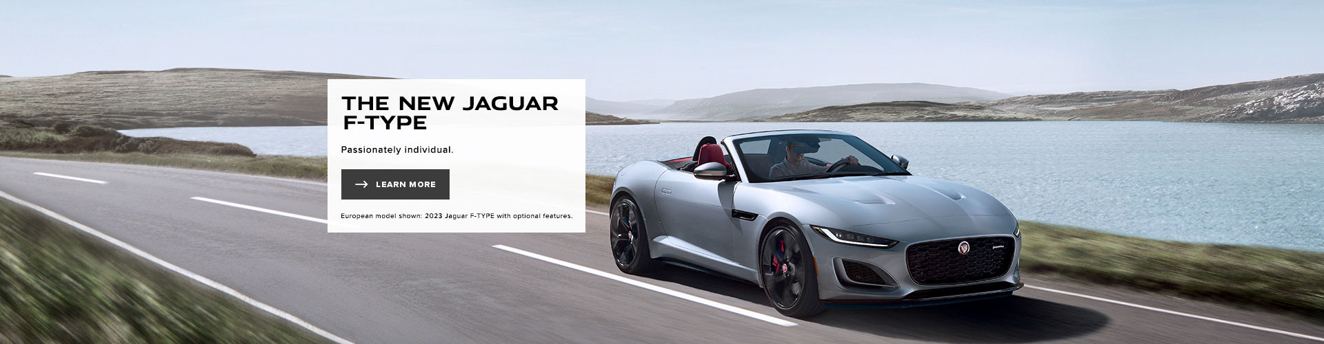 The New Jaguar F-TYPE