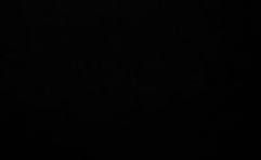 Rangée de voitures neuves ou d'occasion garées sur un parking.