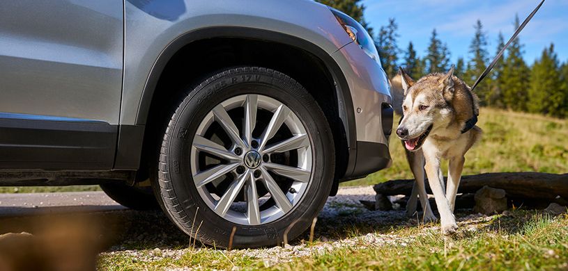High-Quality Tires for Your Volkswagen