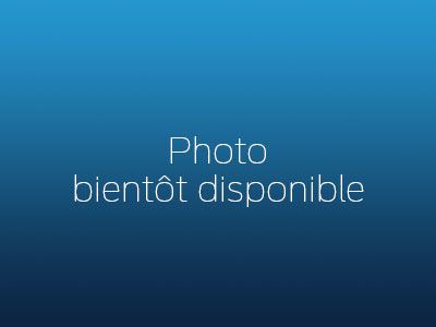 Ford Escape AWD SEL 2021