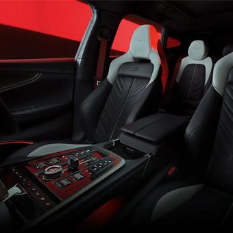 Bespoke Sporting Interior