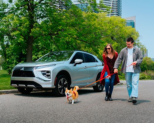 Leasing and Financing Plans