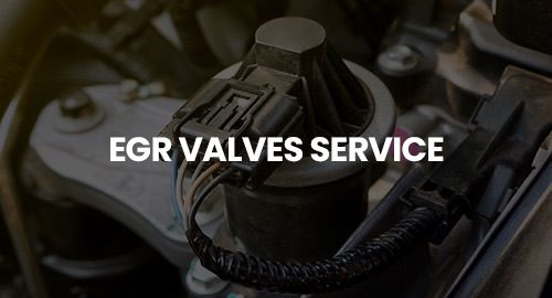 EGR Valves Service