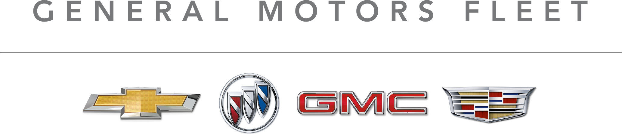 GENERAL MOTORS FLEET