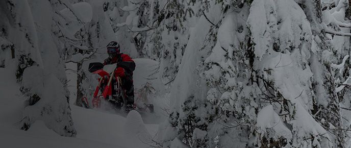 Centre du sport Lac-St-Jean à Alma | Parcourez notre inventaire neuf  