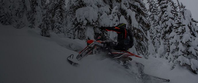 Centre du sport Lac-St-Jean à Alma |  Parcourez la collection complète