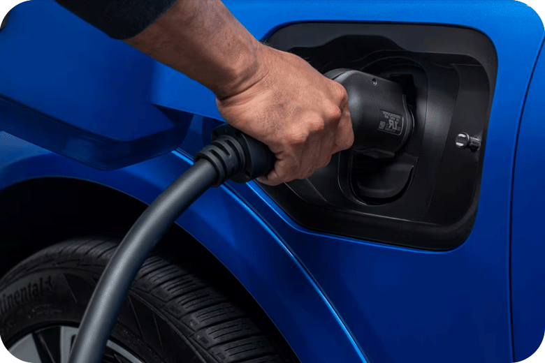 Cost and Maintenance