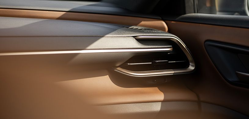 Detailing Experts That Can Make Your Vehicle Shine at {name}