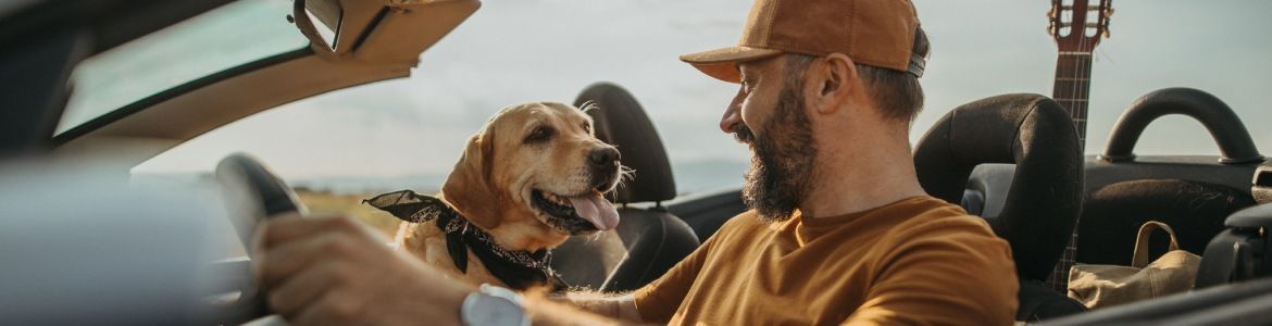 Car Insurance In Ontario, Canada