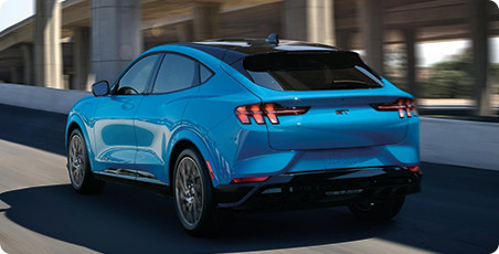 See More of Our Custom Work