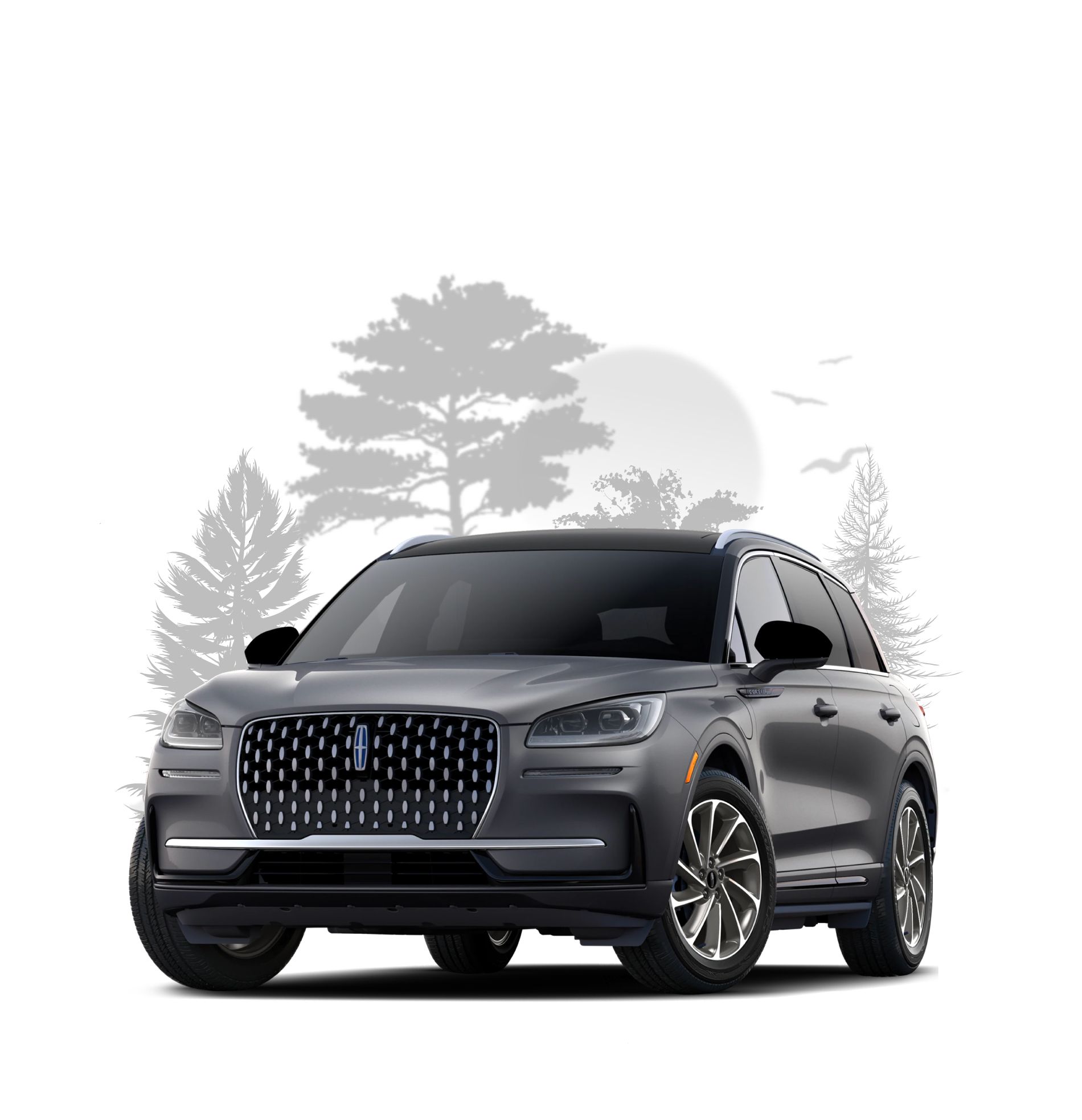 Welcome to Bayfield Lincoln