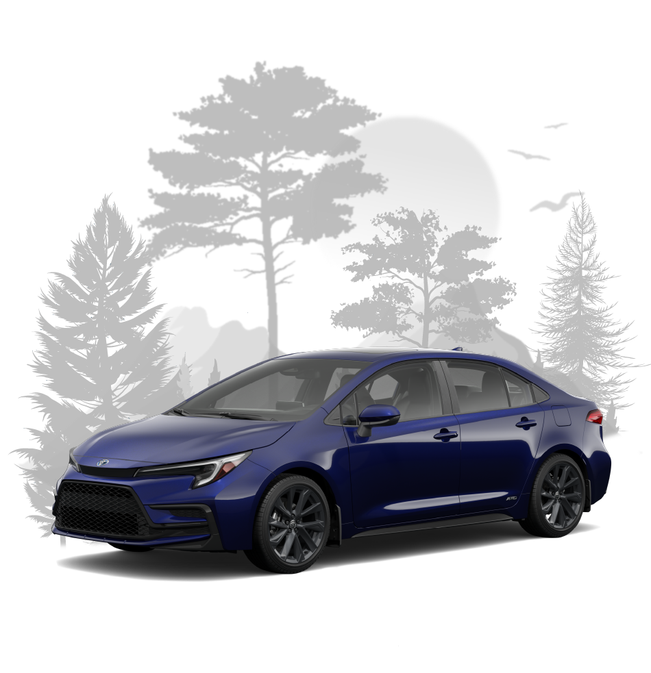 Welcome to AutoPark Brampton