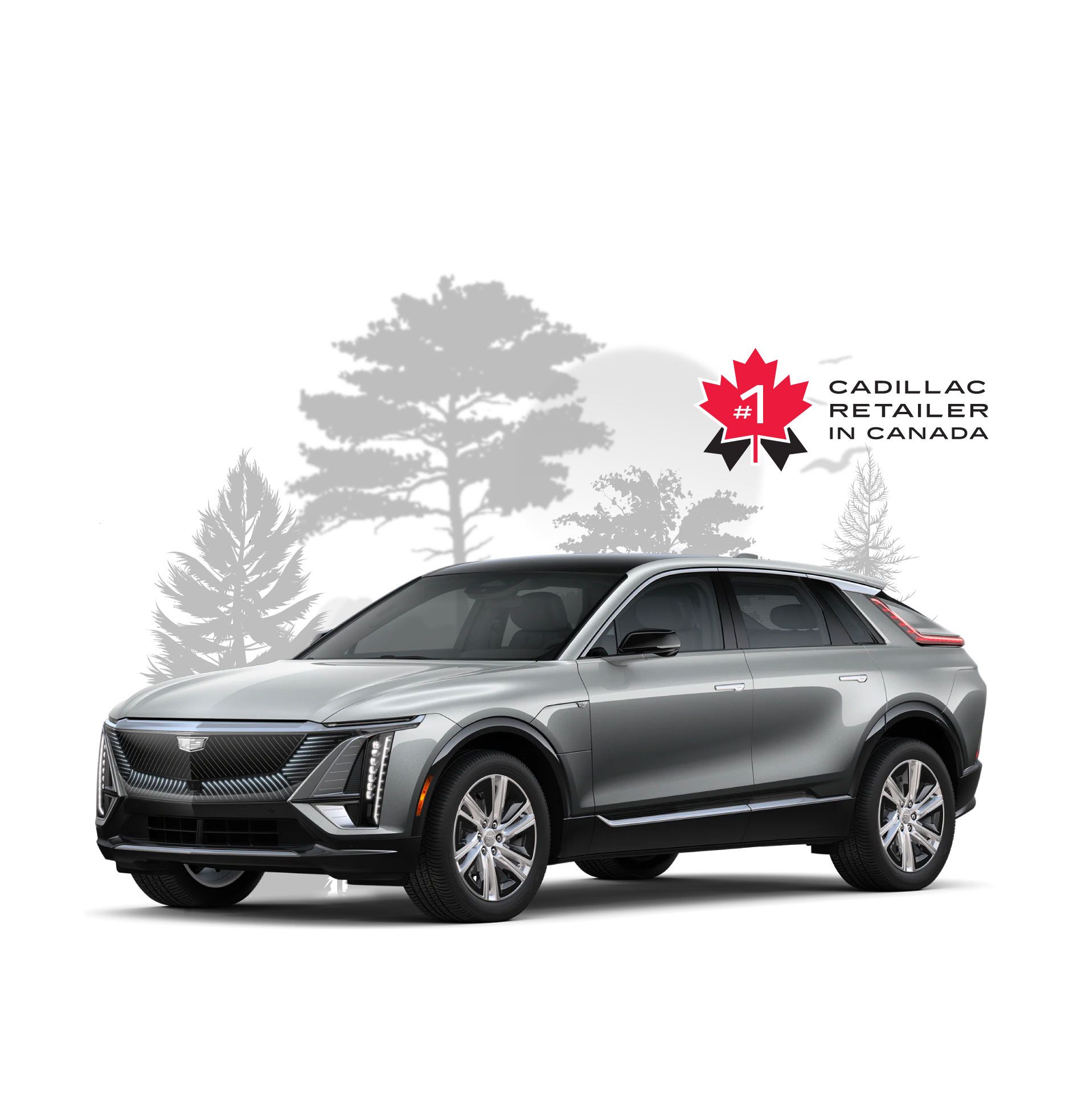 Welcome to Applewood Cadillac