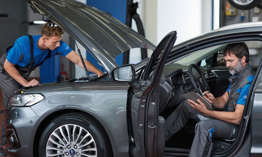 Discover Our Services