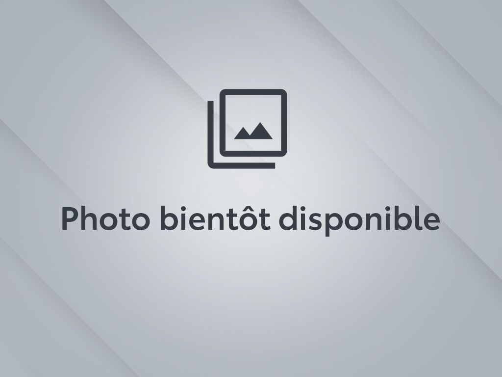 Image du véhicule Ford Escape 2017