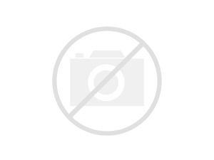 Vehicle Image 2024 Nissan Z