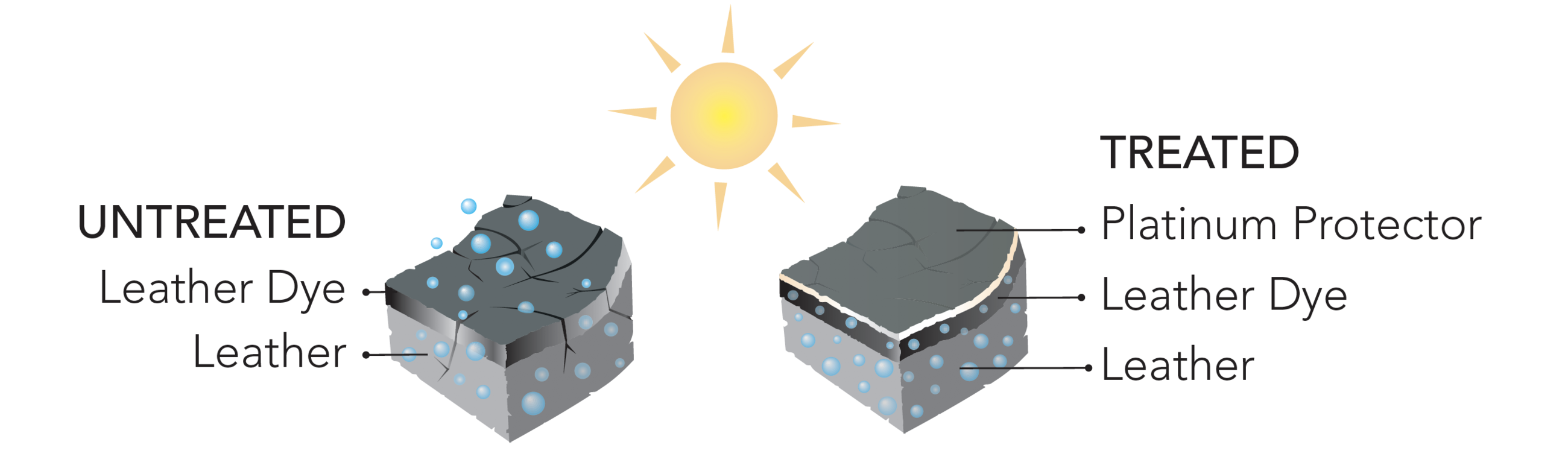 Moncton Honda Honda Vehicle Protection