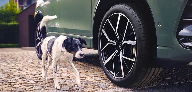 Pneus de haute qualité pour votre Volkswagen