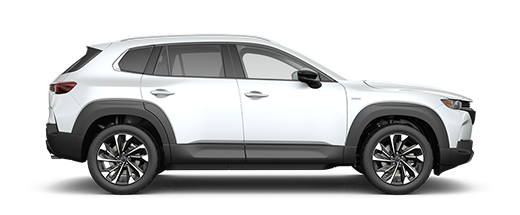 CX-50