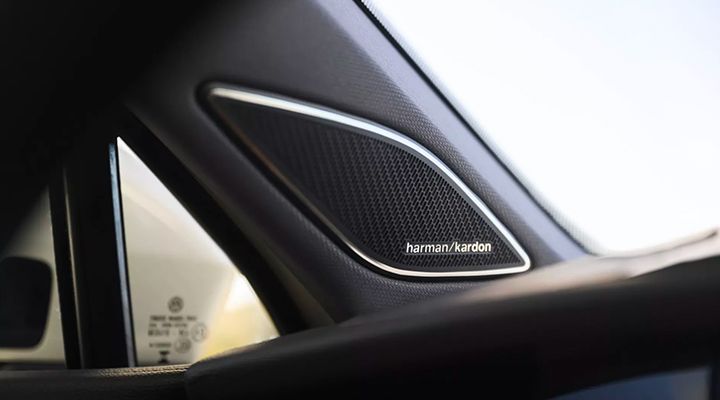 Close-up of the Harman/Kardon branded speaker grille, integrated into the vehicle's pillar or door panel.