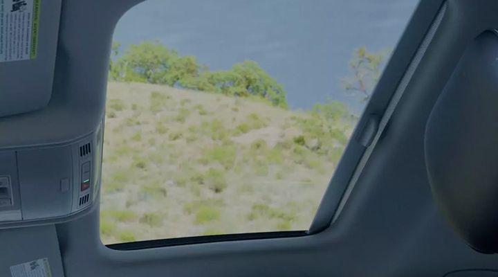 View through the Rail2Rail sunroof of the Volkswagen Jetta, showing the sky and greenery outside.