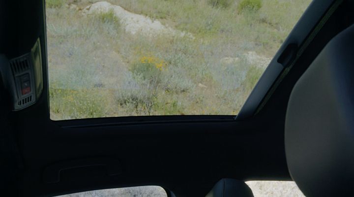 View through the Rail2Rail sunroof of the Jetta GLI, showing the sky and greenery outside.