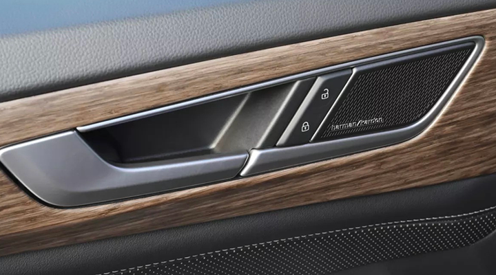 Close-up of a car's interior door handle with wood-look trim and a Harman Kardon speaker grille.
