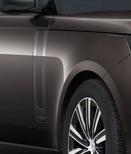 Detail of the front fender and metallic trim on a dark grey bodywork.