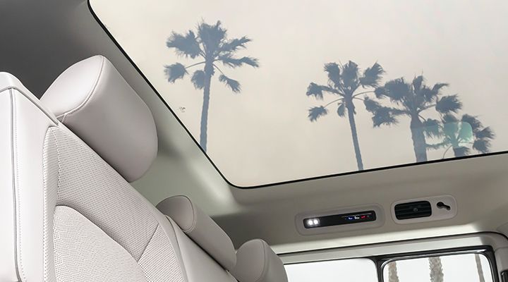 View from the rear interior of a car showing the Panoramic Roof, with the silhouettes of palm trees reflected.