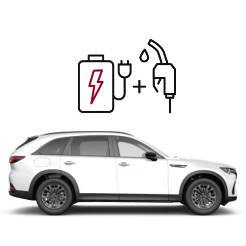 Illustration of battery with cable and plug attached, + gas nozzle.  