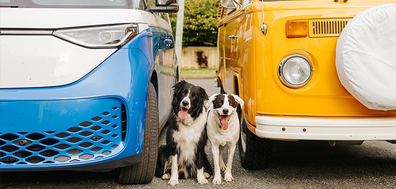 Leasing Versus Financing a Car?