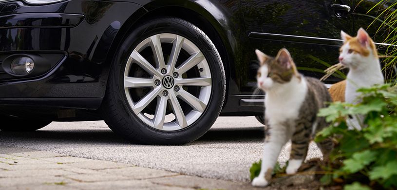 Why Choose Our Tire Center