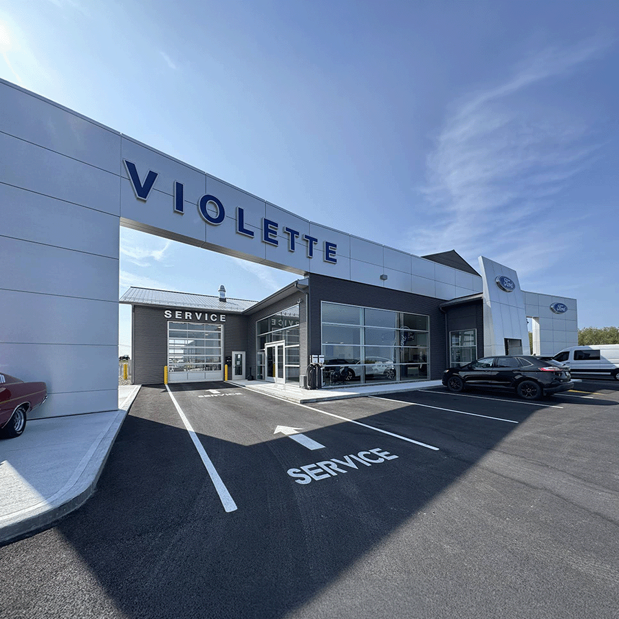 Violette Ford Grand Falls