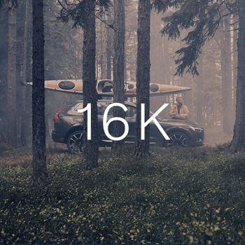 A dark SUV with a kayak on its roof is parked in a foggy forest, viewed through tree trunks, with "16K" text overlaid.