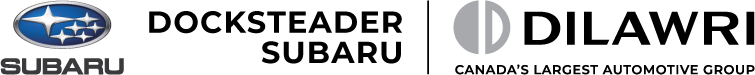 Docksteader Subaru Logo