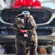 Daisy -