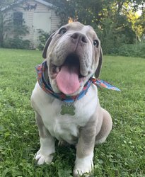 Winston (Jess)