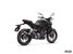Honda CB300R ABS 2024 - Vignette 3