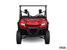 Honda Pioneer 1000-3 EPS  2025 - Vignette 3