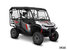 Honda Pioneer 1000-5 Trail édition spéciale côte à côte STANDARD 2025 - Vignette 2