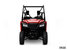 Honda Pioneer 520  2025 - Vignette 3