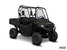 Honda Pioneer 700-2 Deluxe  2025 - Vignette 2