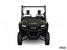 Honda Pioneer 700-2 Deluxe  2025 - Vignette 3