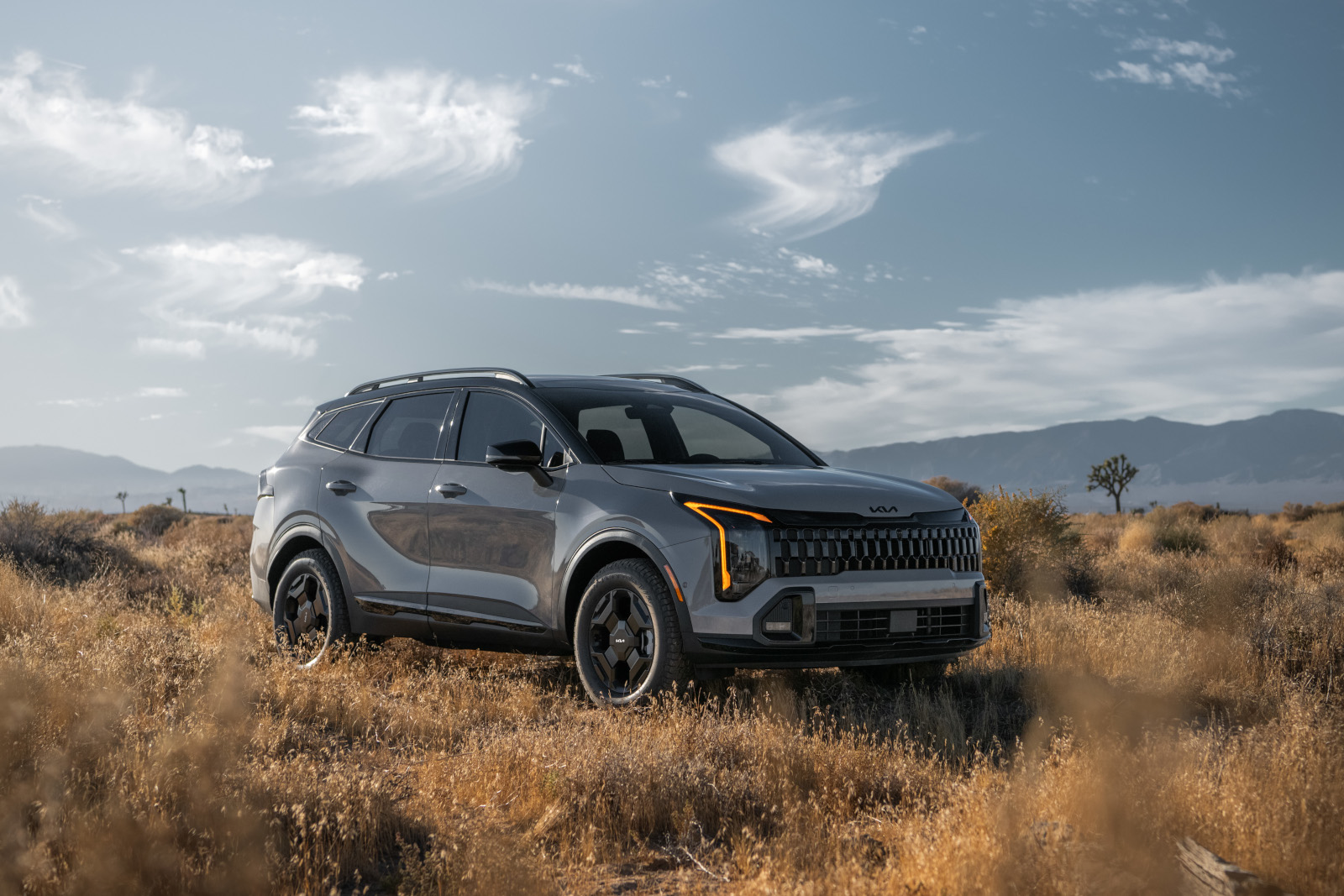 Answering All of Your Questions About the Redesigned 2026 Kia Sportage