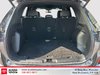 2024 Ford Escape ST-Line-5