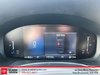 Ford Escape ST-Line 2024-14