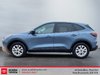 Ford Escape Active 2025-5