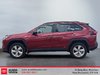 Toyota RAV4 Hybrid Limited 2019-4
