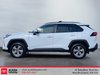 2023 Toyota RAV4 XLE-4